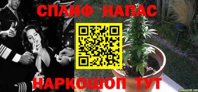прущая мука Новодвинск
