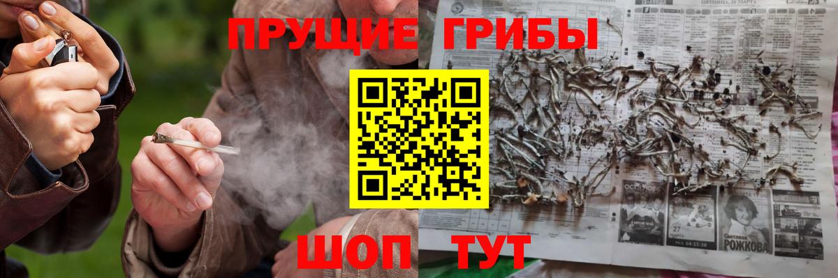 Псилоцибиновые грибы Psilocybe Урюпинск