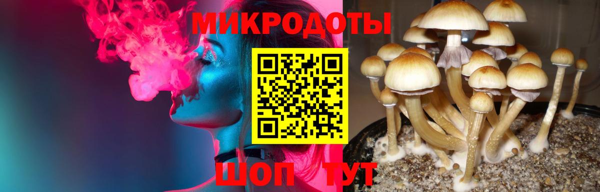Урюпинск  Галлюциногенные грибы прущие грибы  Вход с VPN 